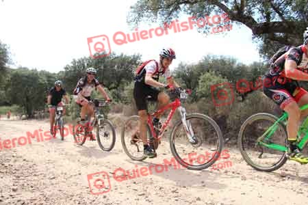 VICENTE GARCIA CARPINTERO Talajara 2015 16254