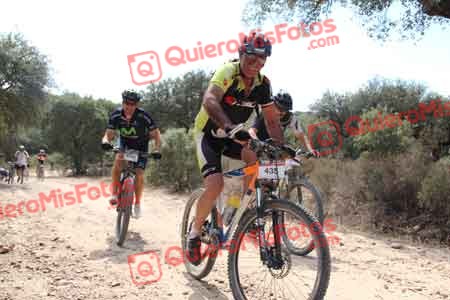 TOMAS MORA DE LA CAL Talajara 2015 16637
