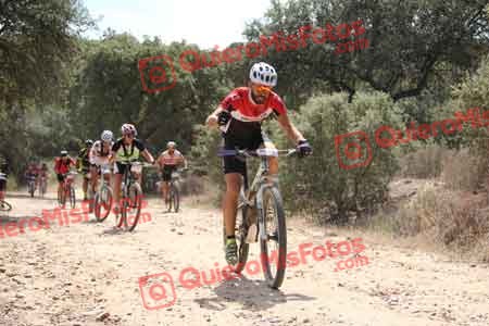 JUAN MANUEL VAQUERO LARA Talajara 2015 16771