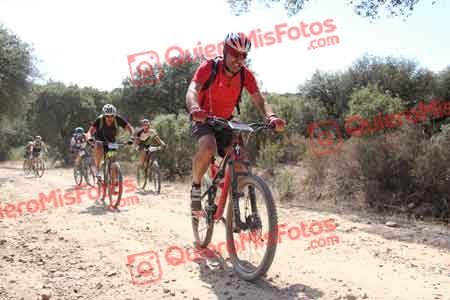 ALFREDO GUTIERREZ AVIS Talajara 2015 17108