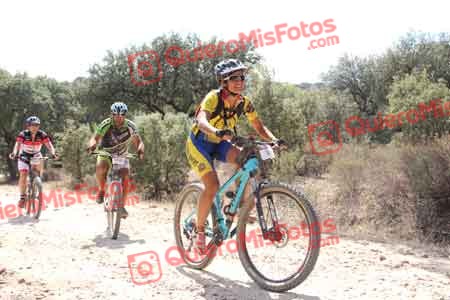 PATRICIA MORA TORRES Talajara 2015 17157