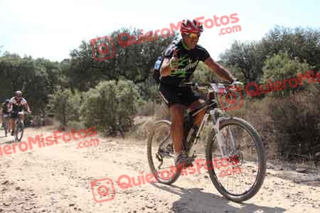 ROBERTO MORA RUBIO Talajara 2015 17175