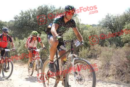 PABLO BOYERO BRAVO Talajara 2015 17359