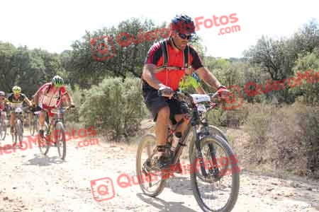 PABLO BOYERO BRAVO Talajara 2015 17364
