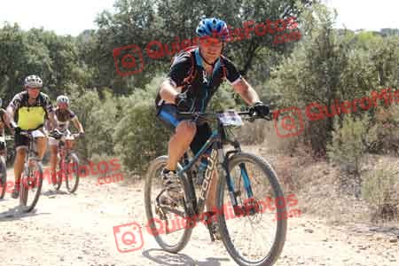 Talajara 2015 17478