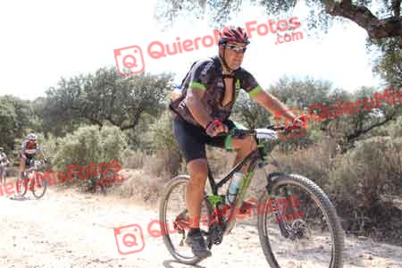 RICARDO FLORES DIEZ Talajara 2015 17511