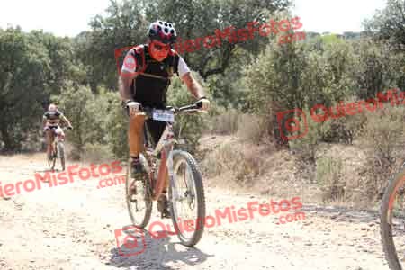 JAVIER ABASOLO DELGADO Talajara 2015 17681