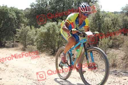 JOSE MARIA RAMOS FRUTOS Talajara 2015 17813