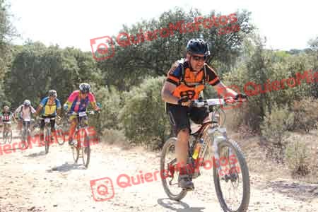 LUIS ENRIQUE GOMEZ DOMINGUEZ Talajara 2015 18129
