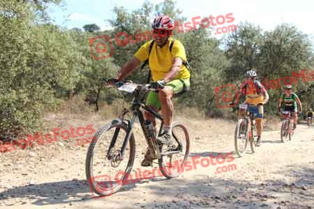 JUSTO GOMEZ VARELA Talajara 2015 18564