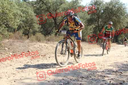 JOSE LUIS MARTIN NEVADO Talajara 2015 18568