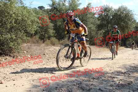 JOSE LUIS MARTIN NEVADO Talajara 2015 18569