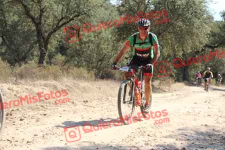 JOSE LUIS MARTIN NEVADO Talajara 2015 18571