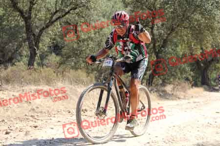 HIPOLITO ATIENZA LERIN Talajara 2015 18597