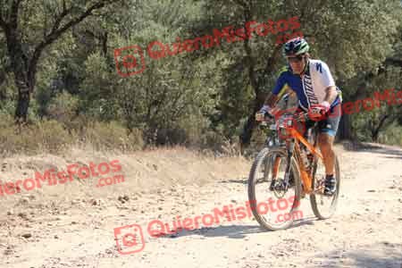 MIGUEL MARTINEZ CAMACHO Talajara 2015 18670