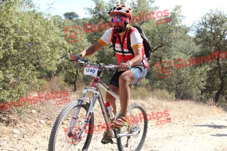 JOSE TOMAS CEDENILLAS BERNAL Talajara 2015 18875