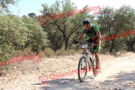 MARIO ACEITUNO ROSADO Talajara 2015 19037