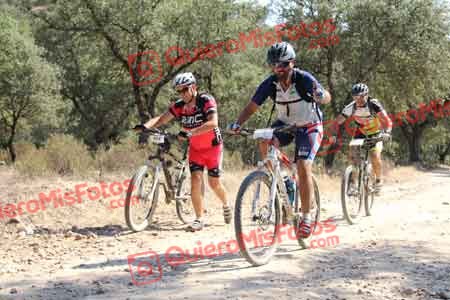 JOSE ANTONIO GUTIERREZ DE LA MATA Talajara 2015 19286