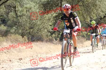 JORGE GUTIERREZ DE LA NAVA Talajara 2015 19414