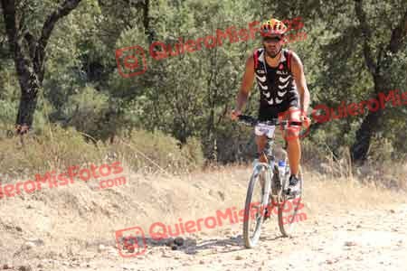 DAVID MAYORAL OLOMBRADA Talajara 2015 19469