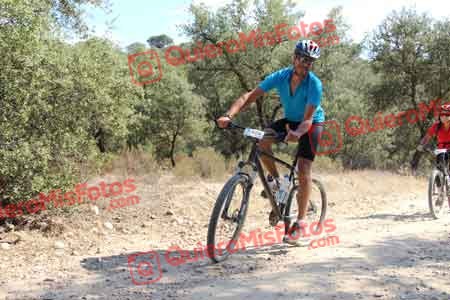 JAVIER DOMINGUEZ ALFAYATE Talajara 2015 19476