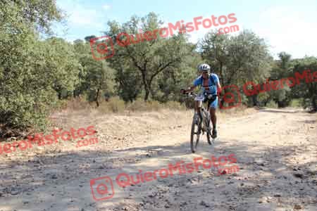JOSE MANUEL PIQUERAS PALANCAREJO Talajara 2015 19797