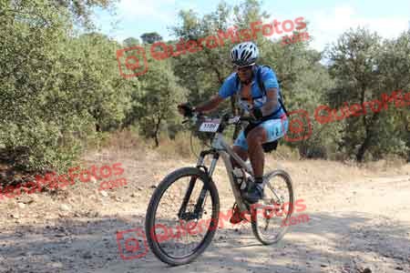 JOSE MANUEL PIQUERAS PALANCAREJO Talajara 2015 19801