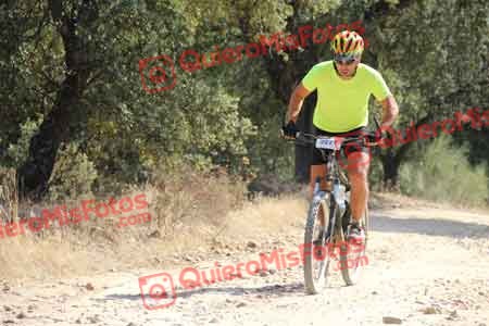 ROBERTO MARTINEZ SECO Talajara 2015 19803