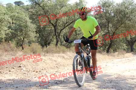 ROBERTO MARTINEZ SECO Talajara 2015 19809