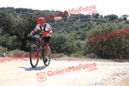 GUILLERMO ROTHE GOMEZ Talajara 2015 20508