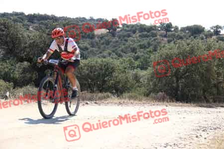GUILLERMO ROTHE GOMEZ Talajara 2015 20509