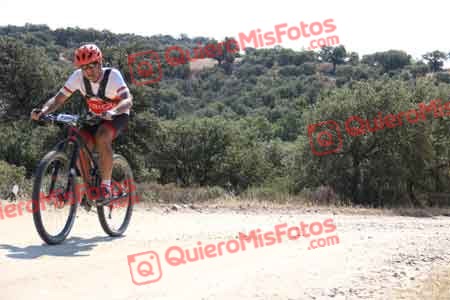GUILLERMO ROTHE GOMEZ Talajara 2015 20510