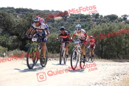 DAVID CASTRO MARTIN Talajara 2015 20513