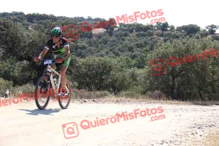 Talajara 2015 20534