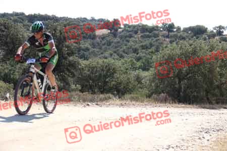 Talajara 2015 20535
