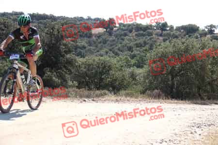 Talajara 2015 20536