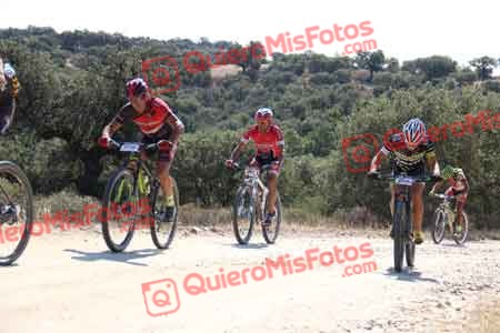 IVAN COCA DE LOS RIOS Talajara 2015 20580