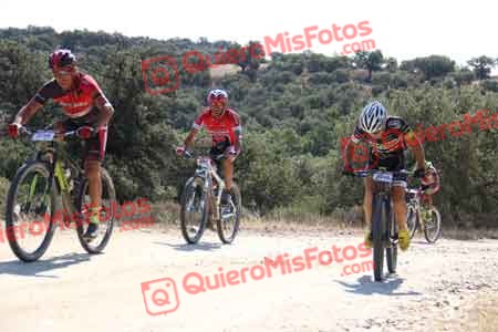 IVAN COCA DE LOS RIOS Talajara 2015 20582