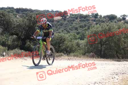 JOSE MANUEL MARTIN VACAS Talajara 2015 20629