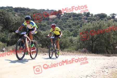 JONATHAN PAZ MADRONO Talajara 2015 20638
