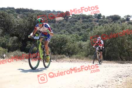 ENRIQUE SEVILLA DE LA FUENTE Talajara 2015 20663