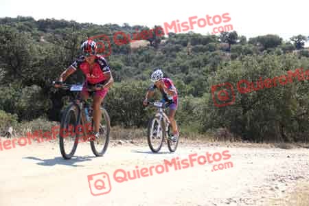 ANDREW LAINE Talajara 2015 21035