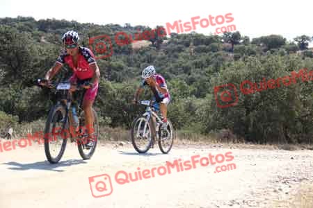ANDREW LAINE Talajara 2015 21036