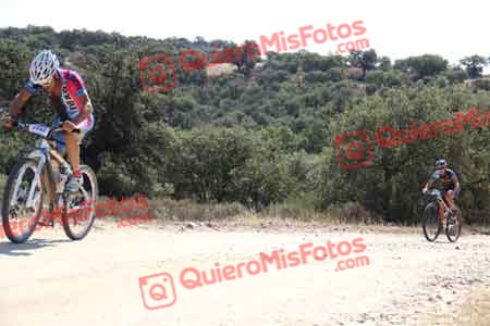 ANDREW LAINE Talajara 2015 21041