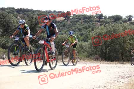 OSCAR SAENZ ELGUREN Talajara 2015 21604