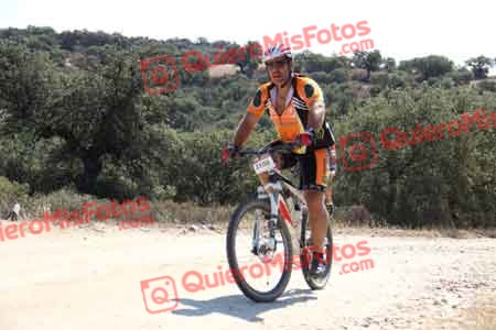 Talajara 2015 21691