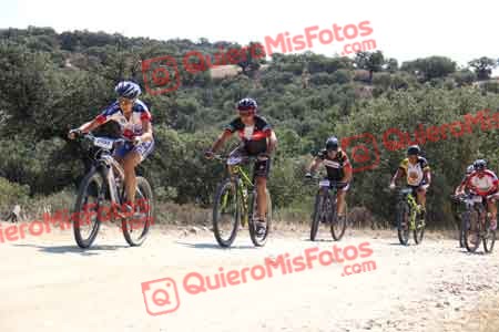 ANA CARMEN TORIBIO SANZ Talajara 2015 21816