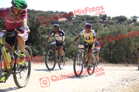 JUAN PEDRO POZA COSTA Talajara 2015 22079