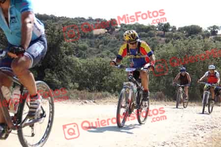 PAULINO VICARIO SANTAMARIA Talajara 2015 22232