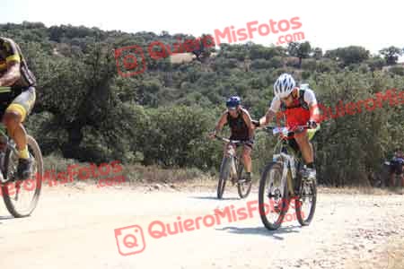 PEDRO MOYANO MARTIN Talajara 2015 22238